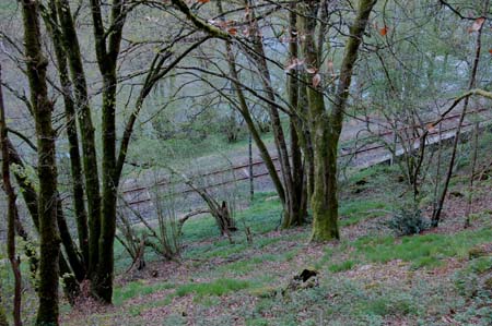 20060429_185153